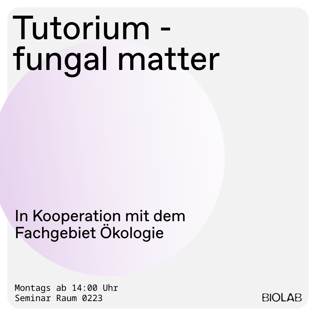 Instagram-Kachel-–-14