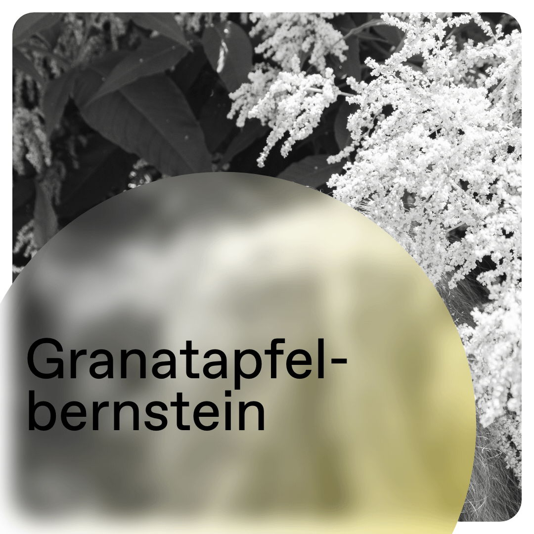 Instagram-Kachel-–-3