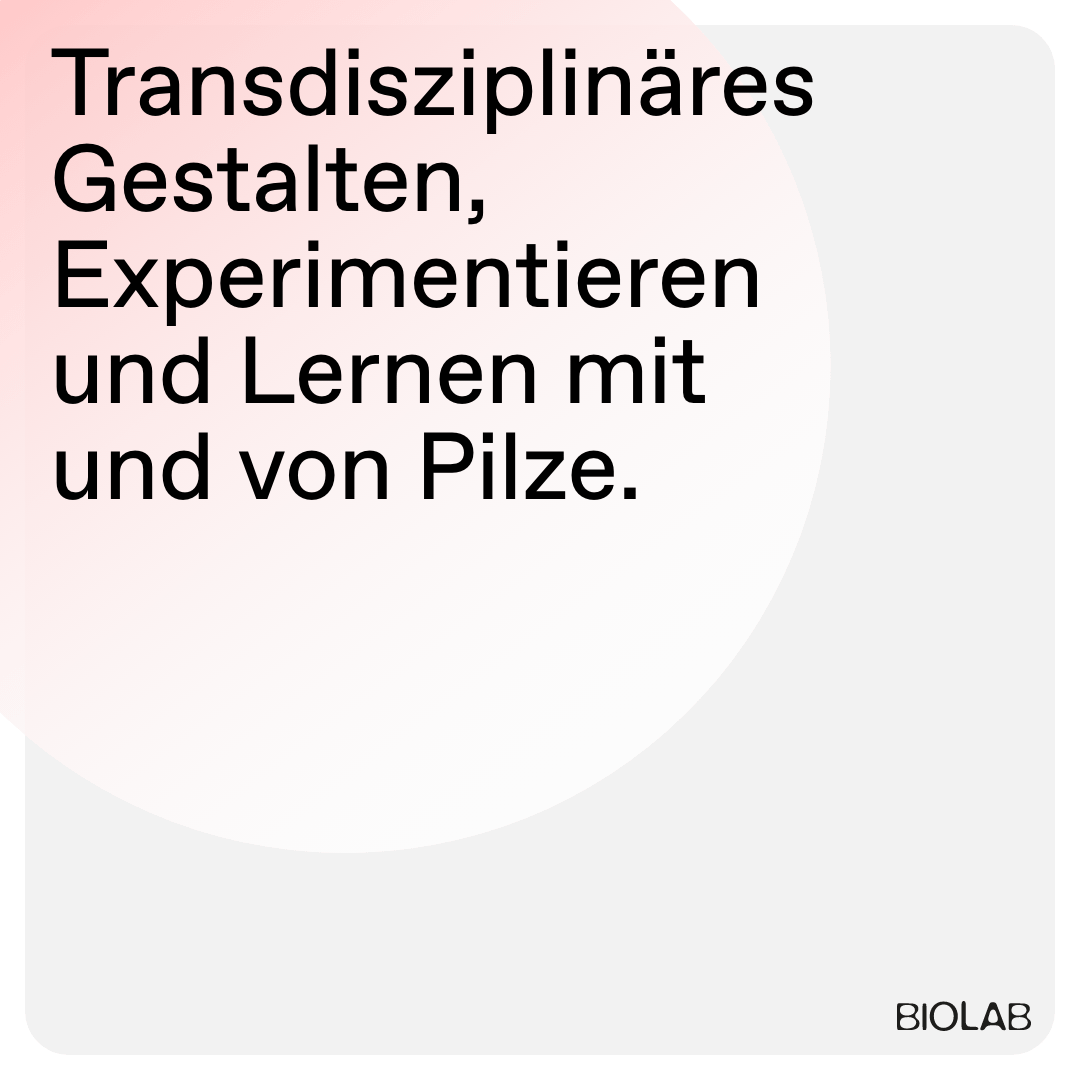Instagram-Kachel-–-4
