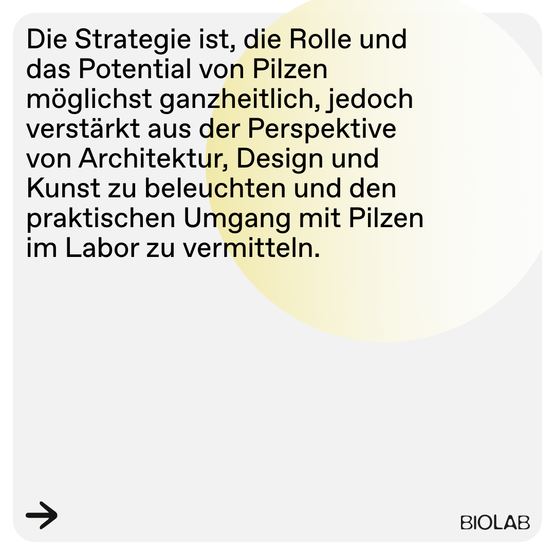 Instagram-Kachel-–-5