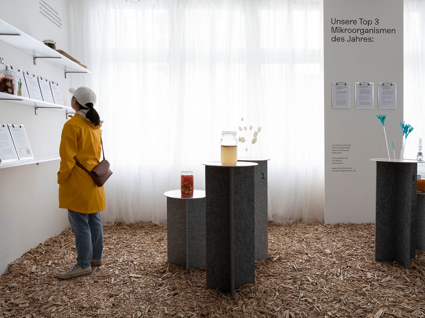 Kasseler_Kunstverein_Artifizielle_Oekologien_2022_©_Nicolas_Wefers_004