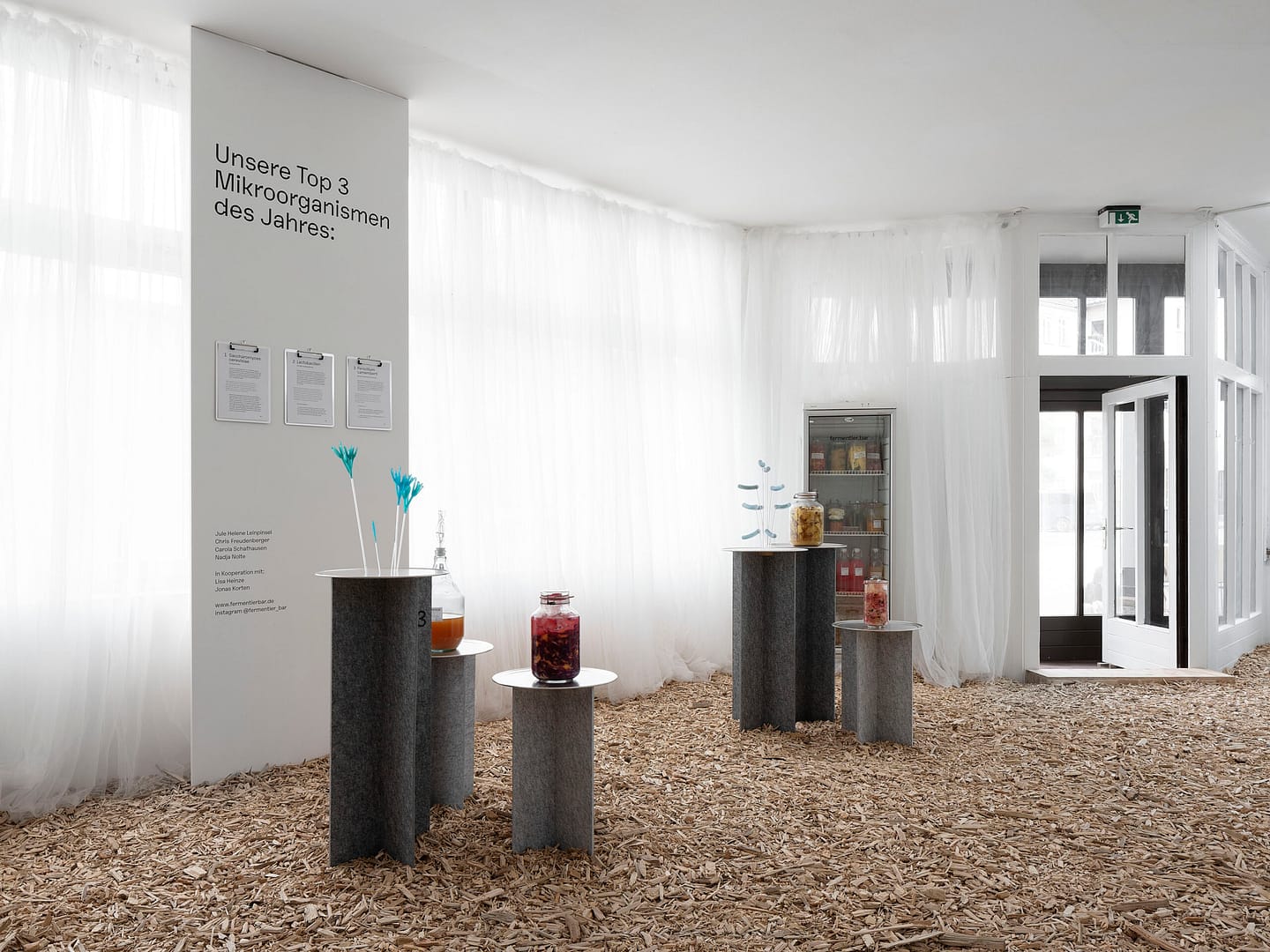 Kasseler_Kunstverein_Artifizielle_Oekologien_2022_©_Nicolas_Wefers_005