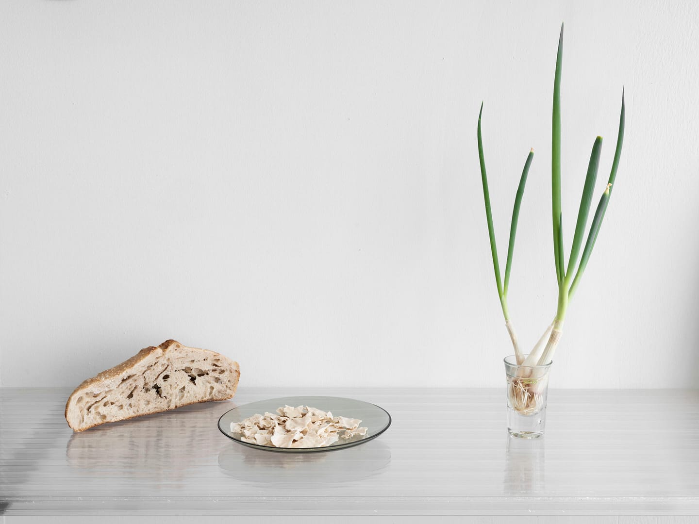 Kasseler_Kunstverein_Artifizielle_Oekologien_2_2022_©_Nicolas_Wefers_002