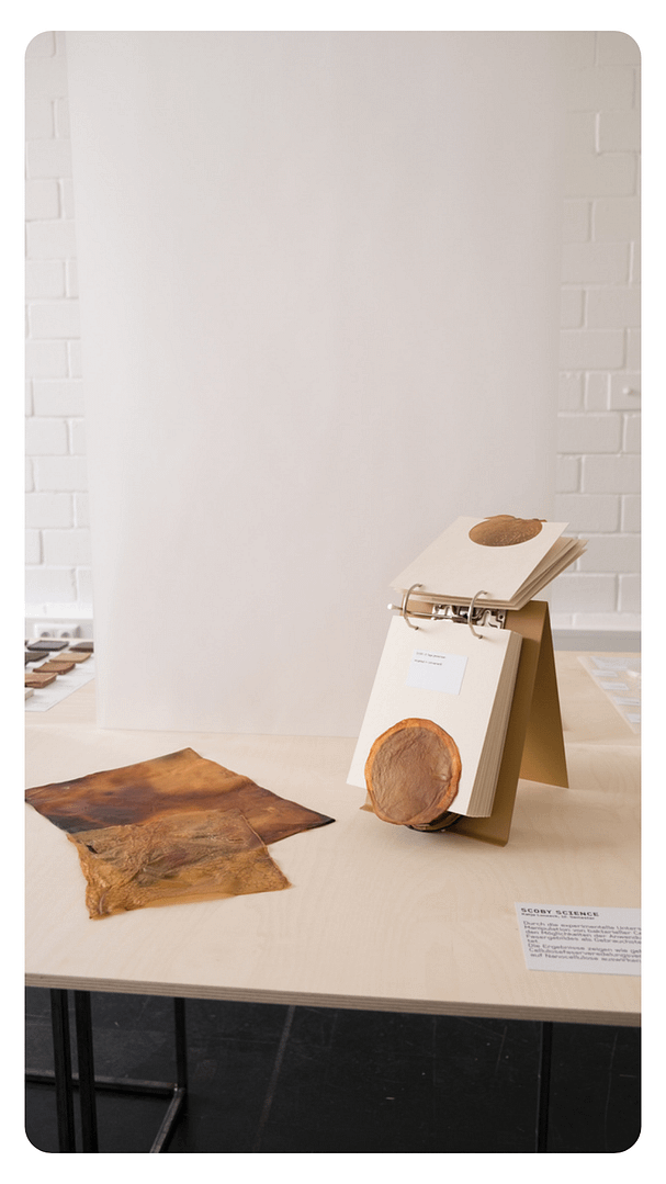 Instagram-Story-–-2