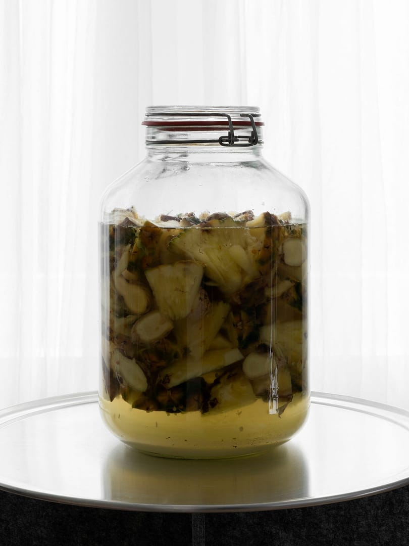 Kasseler_Kunstverein_Artifizielle_Oekologien_2_2022_©_Nicolas_Wefers_005